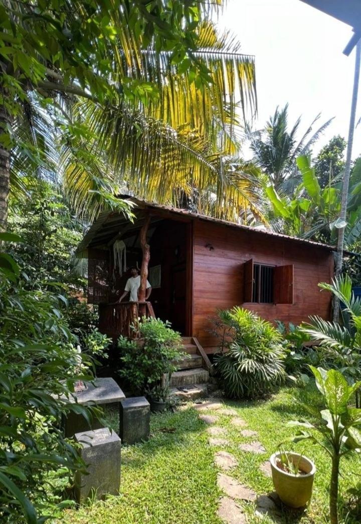 Hotel The Green Station Dikwella Exterior foto
