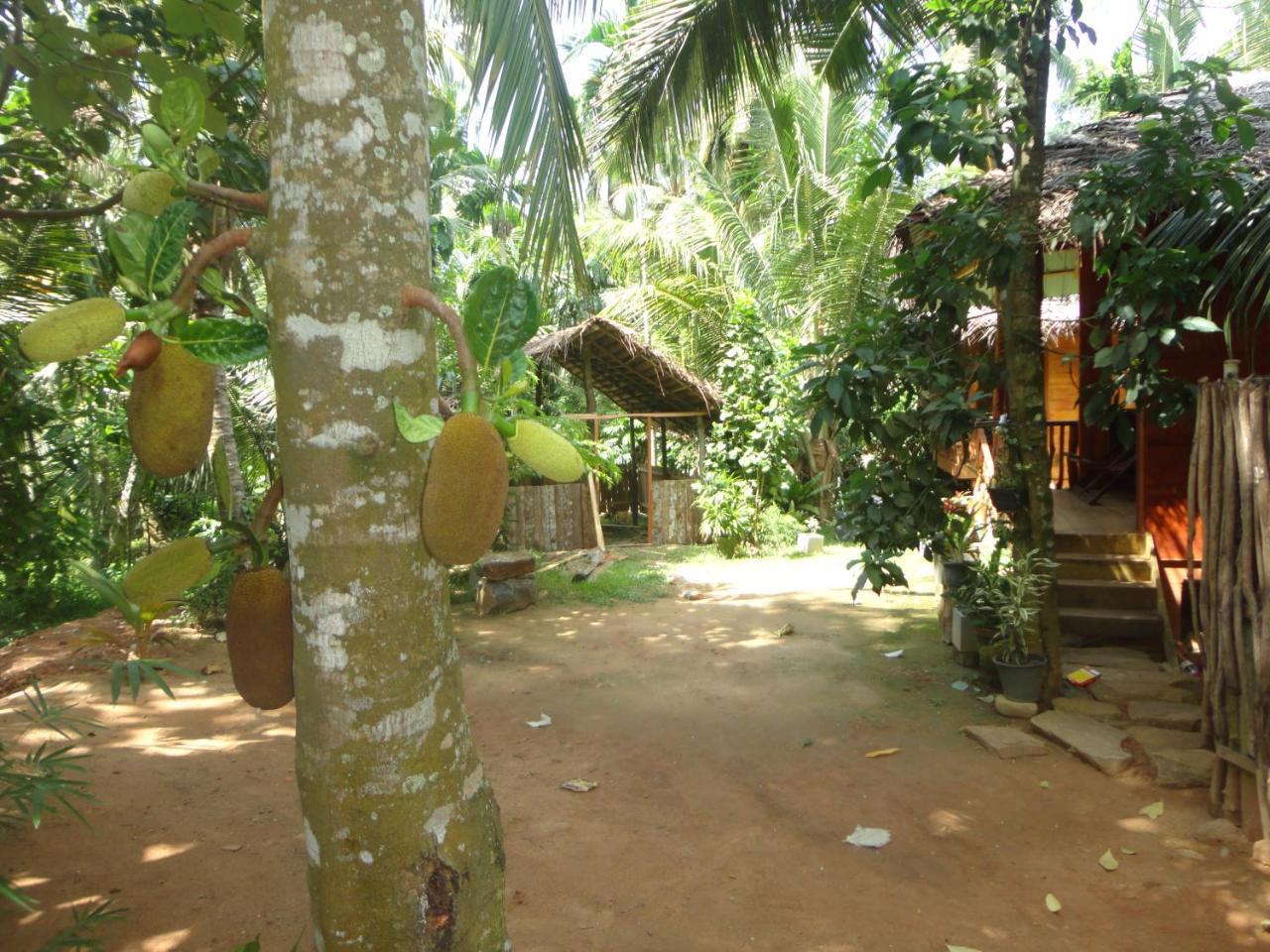 Hotel The Green Station Dikwella Exterior foto